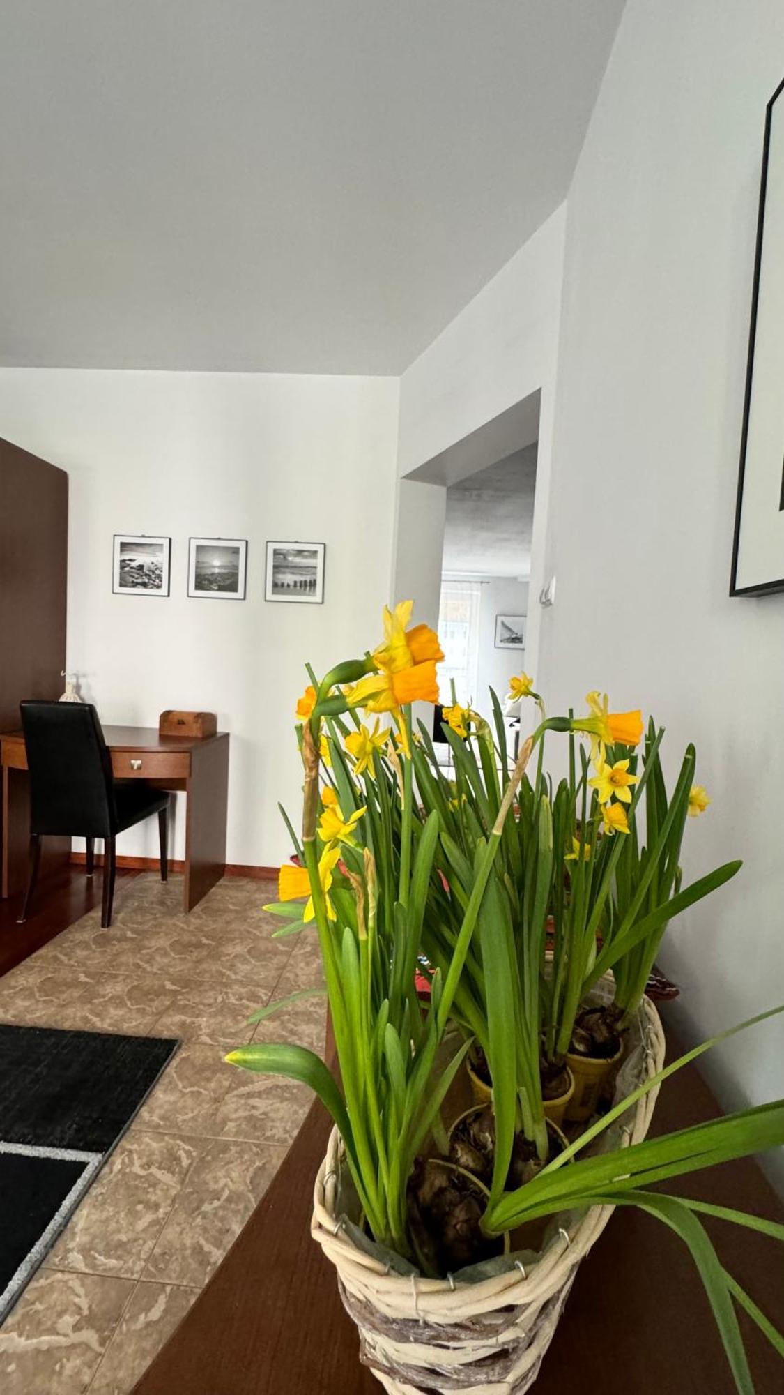 Apartament Rodzinny コウォブジェク エクステリア 写真