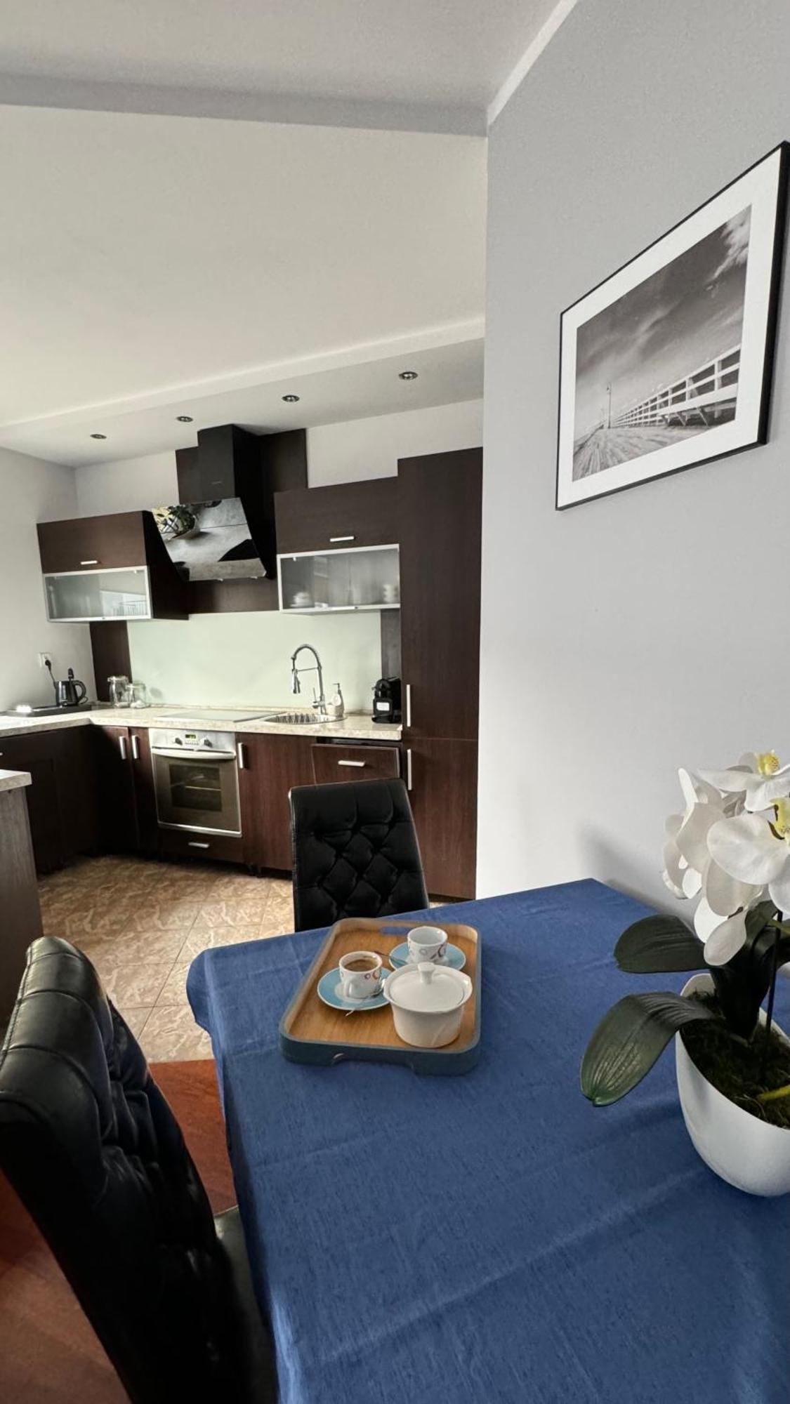 Apartament Rodzinny コウォブジェク エクステリア 写真