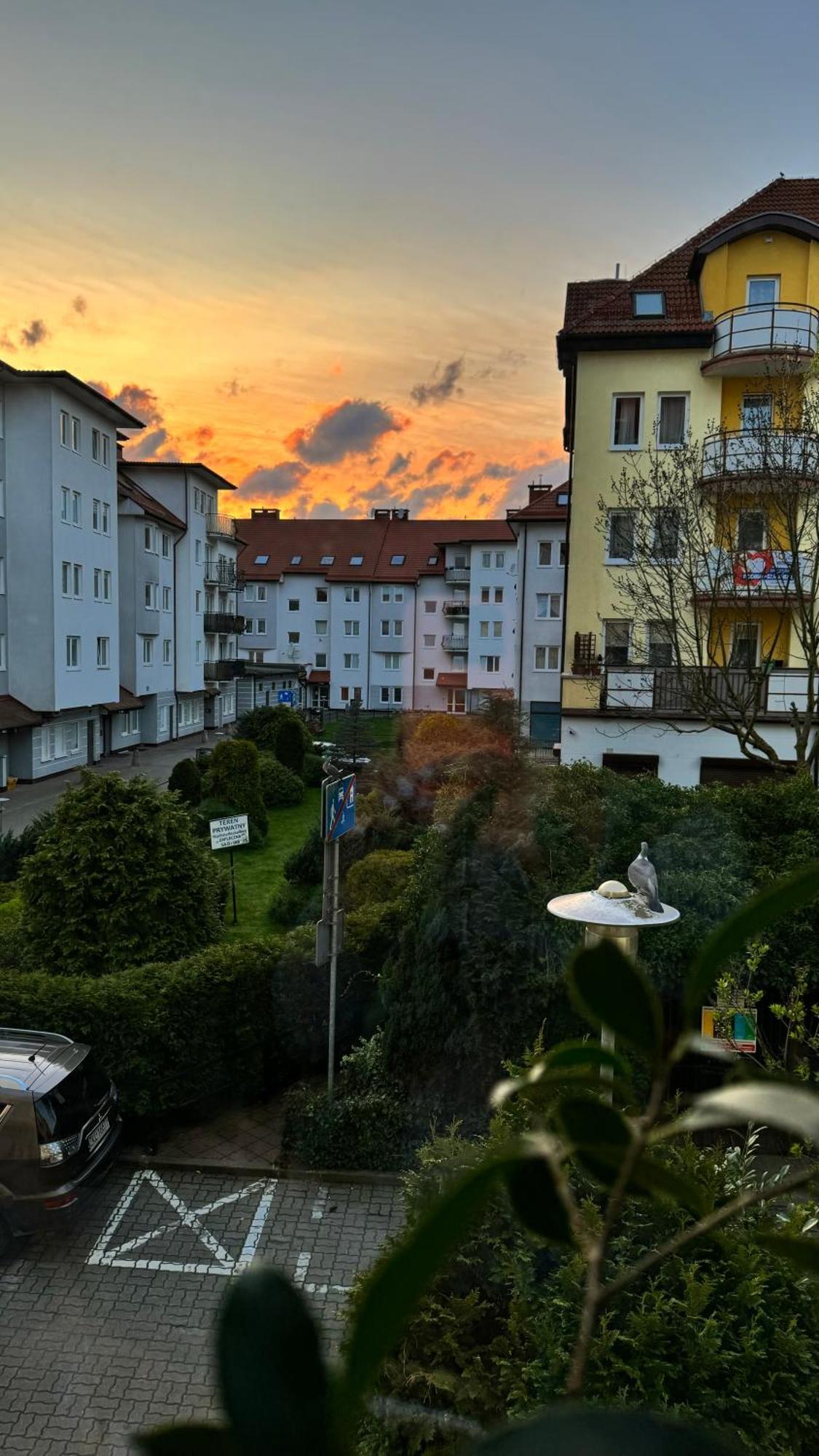Apartament Rodzinny コウォブジェク エクステリア 写真