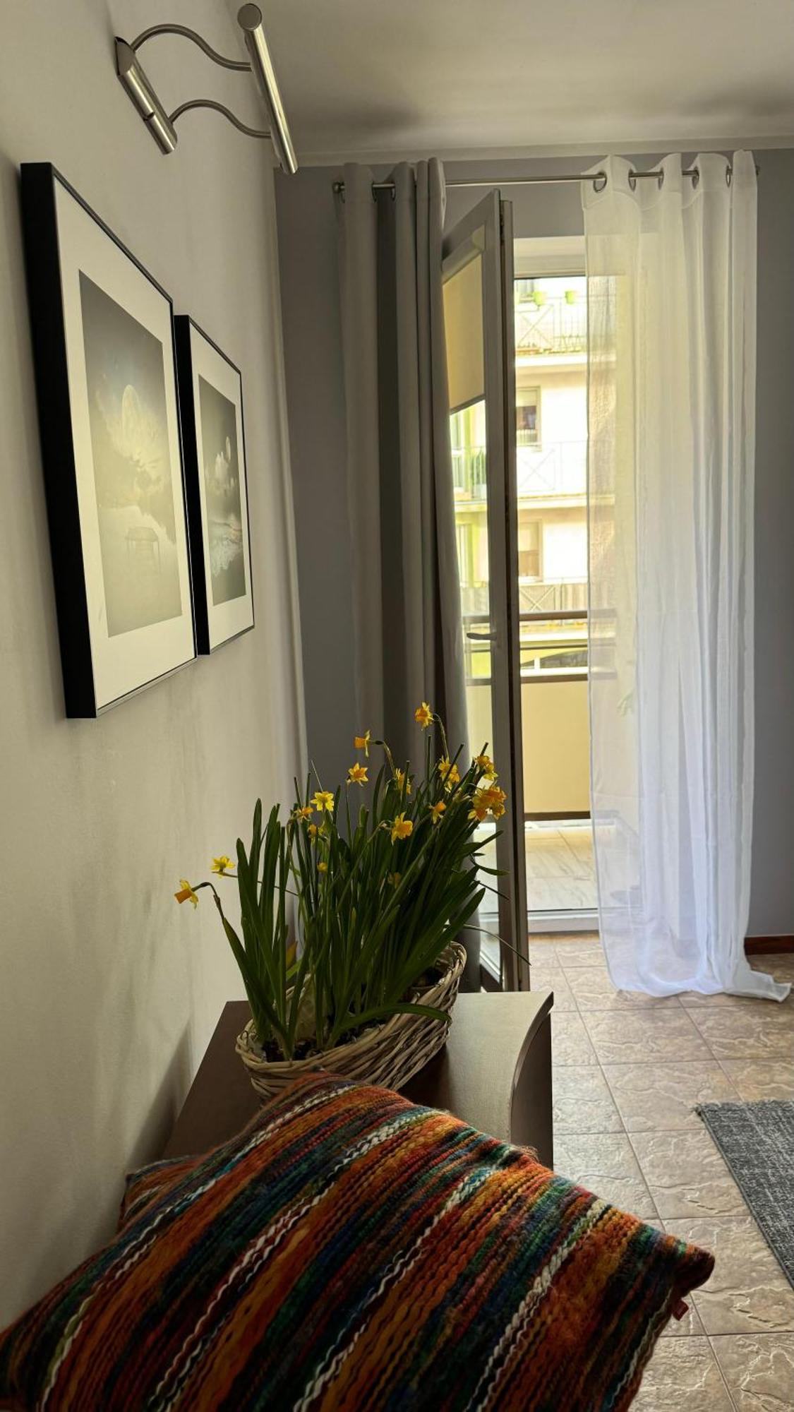 Apartament Rodzinny コウォブジェク エクステリア 写真