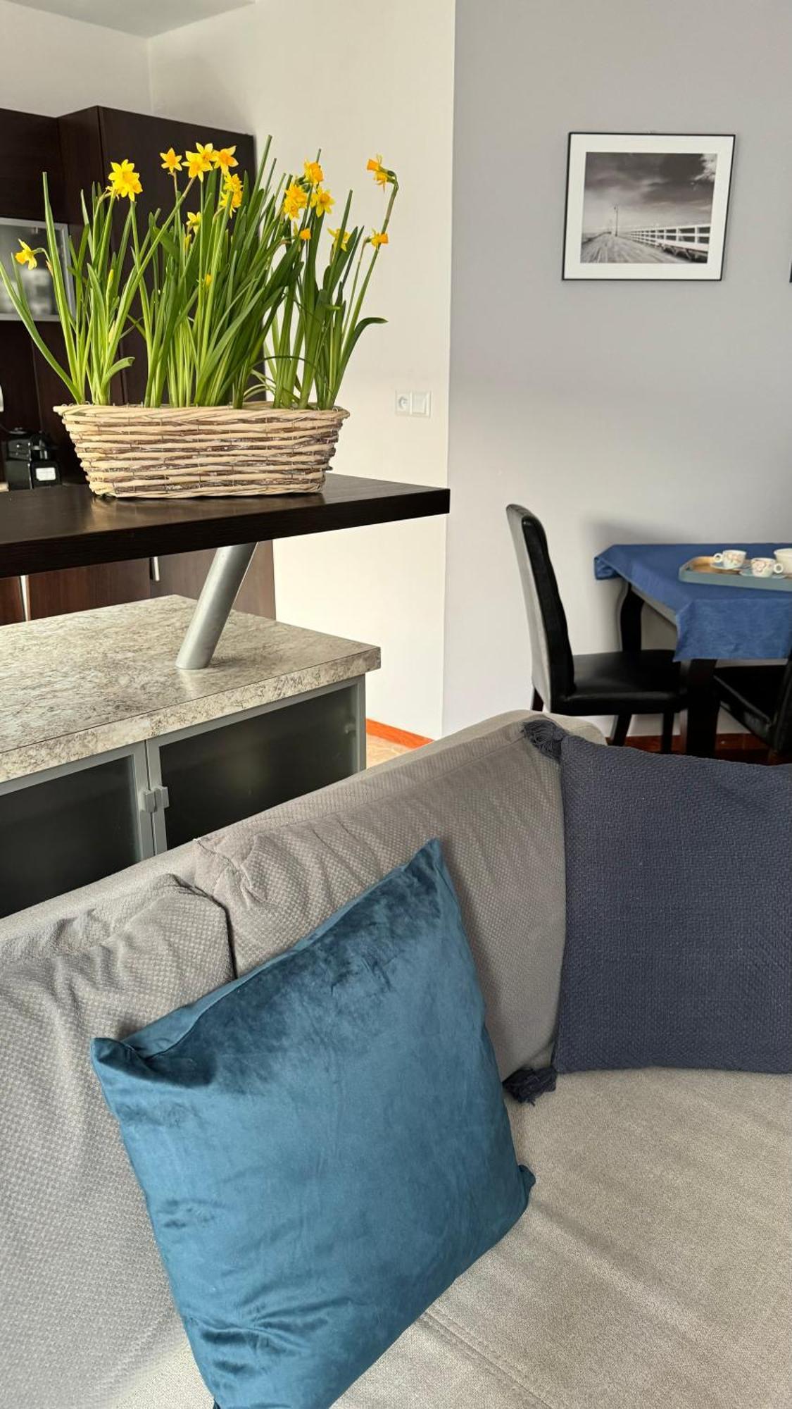Apartament Rodzinny コウォブジェク エクステリア 写真